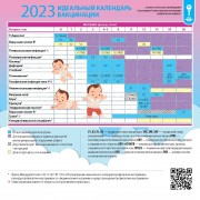 Календарь "2023 Идеальный календарь вакцинации"